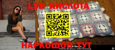 мдпв Кингисепп