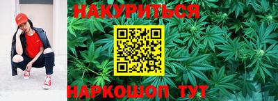 мдпв Кингисепп