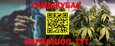 мдпв Кингисепп
