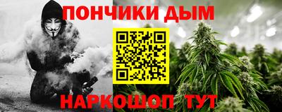мдпв Кингисепп