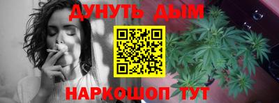 мдпв Кингисепп
